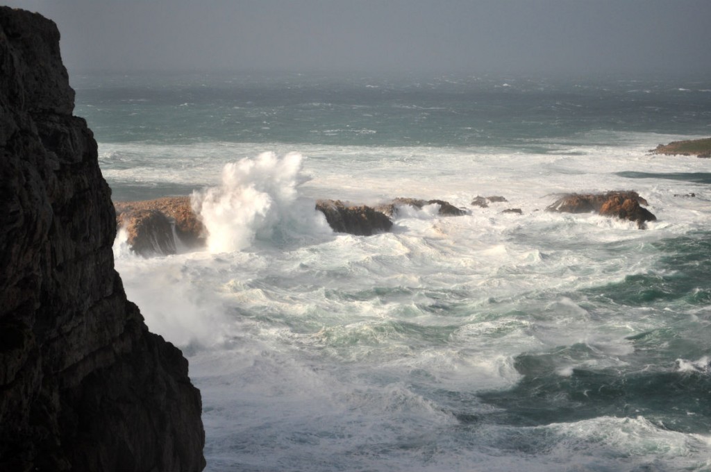 furia