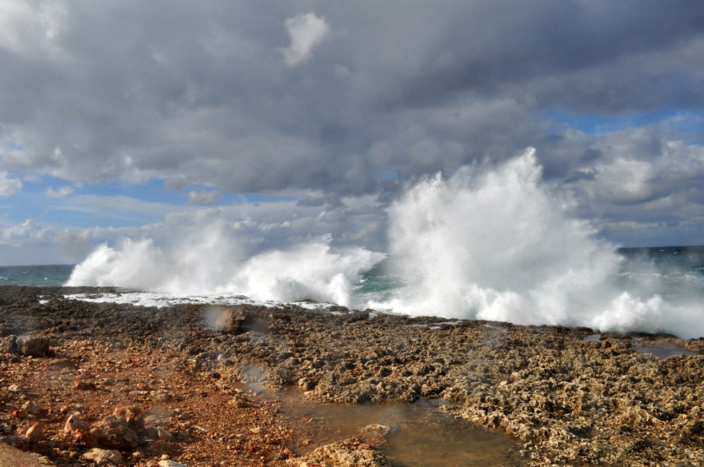 olas nube
