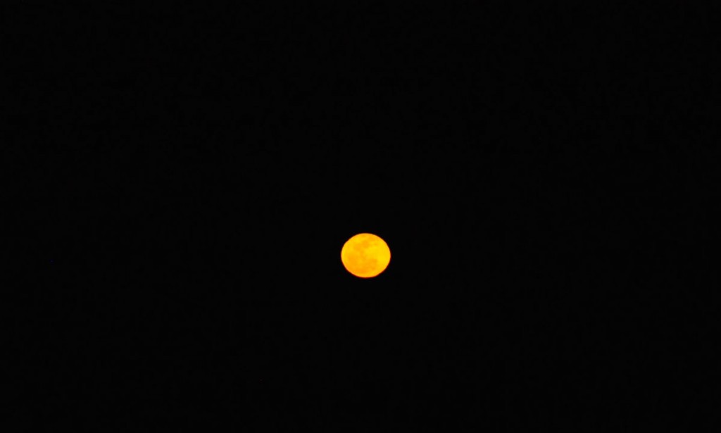 luna