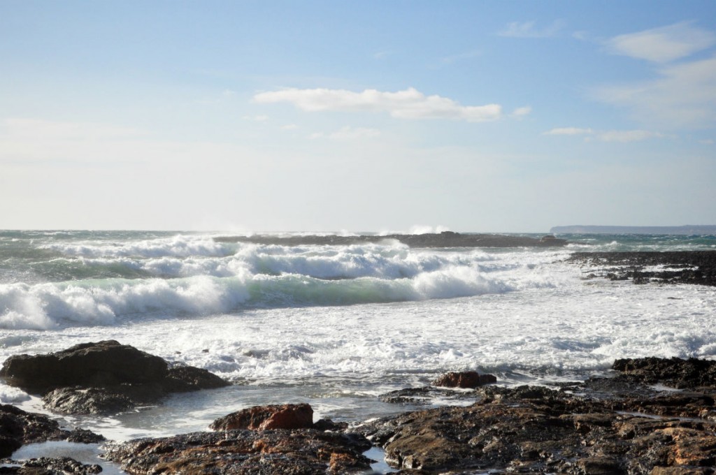 olas